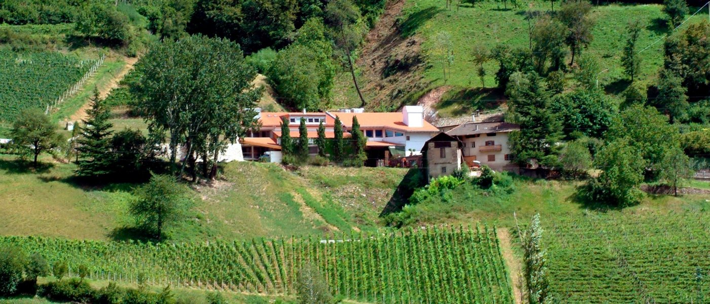 visit Franz Haas